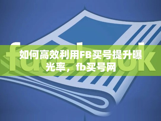如何高效利用FB买号提升曝光率,fb买号网