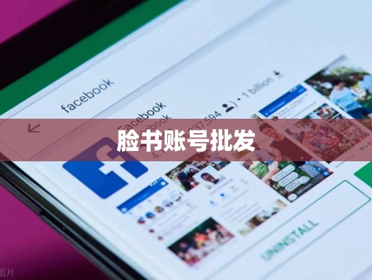 脸书账号批发