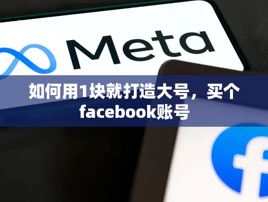 如何用1块就打造大号，买个facebook账号