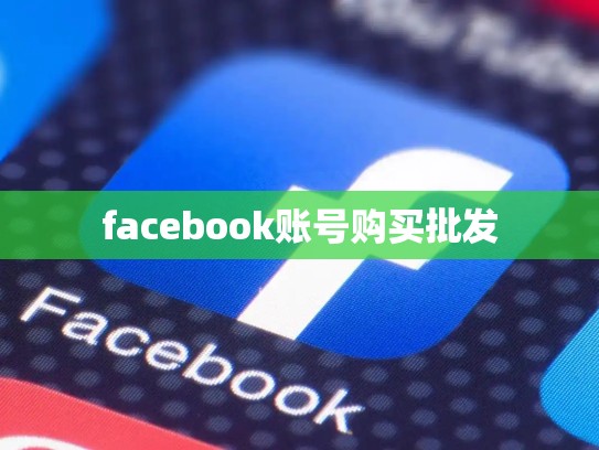 facebook账号购买批发