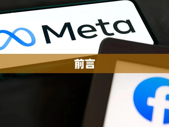 前言
