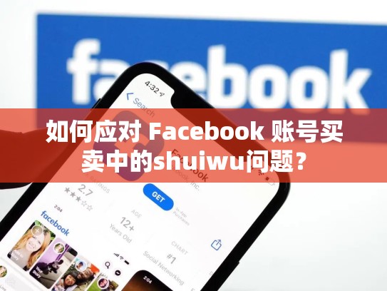如何应对 Facebook 账号买卖中的shuiwu问题？