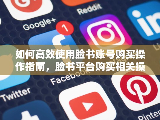 如何高效使用脸书账号购买操作指南,脸书平台购买相关操作指南是什么