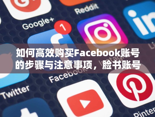 如何高效购买Facebook账号的步骤与注意事项,脸书账号购买的具体操作步骤是什么
