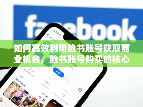如何高效利用脸书账号获取商业机会,脸书账号购买的核心要点是什么