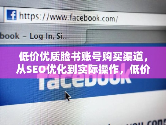 低价优质脸书账号购买渠道,从SEO优化到实际操作,低价优质脸书账号购买渠道有哪些