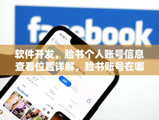 软件开发,脸书个人账号信息查看位置详解,脸书账号在哪里查看