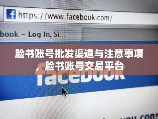 脸书账号批发渠道与注意事项,脸书账号交易平台
