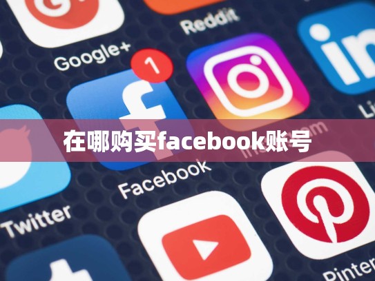 在哪购买facebook账号