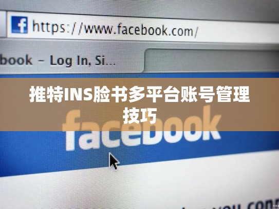 推特INS脸书多平台账号管理技巧