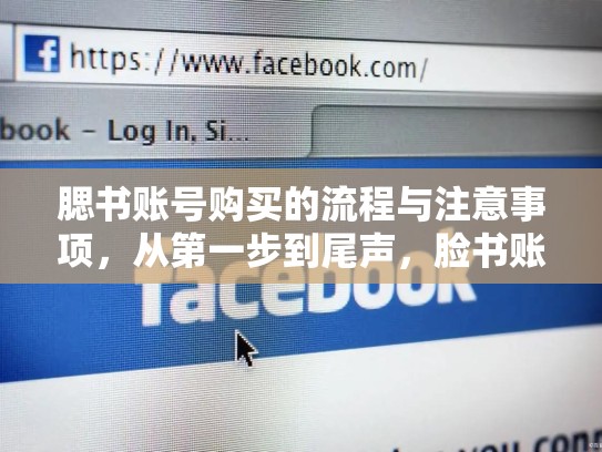 腮书账号购买的流程与注意事项,从第一步到尾声,脸书账号购买的流程与注意事项有哪些