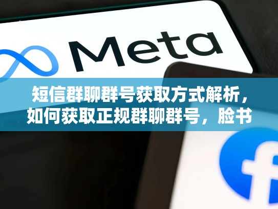 短信群聊群号获取方式解析,如何获取正规群聊群号,脸书账号购买的正规途径是什么