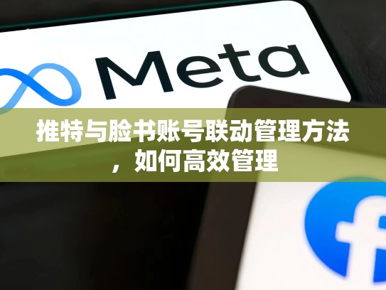 推特与脸书账号联动管理方法,如何高效管理