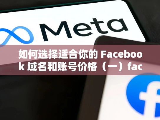 如何选择适合你的 Facebook 域名和账号价格(一)facebook账号价格