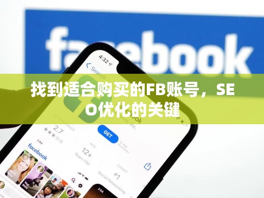 找到适合购买的FB账号,SEO优化的关键
