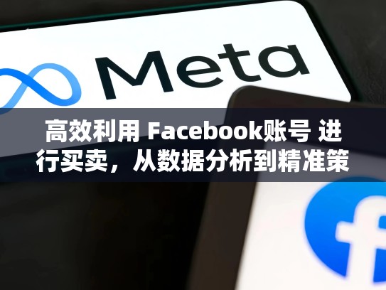 高效利用 Facebook账号 进行买卖,从数据分析到精准策略