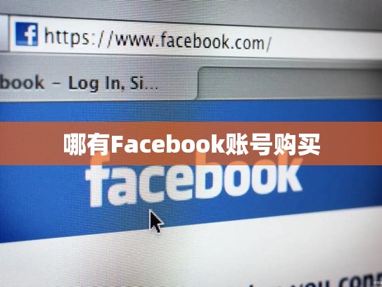 哪有Facebook账号购买
