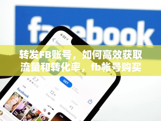 转发FB账号,如何高效获取流量和转化率,fb帐号购买